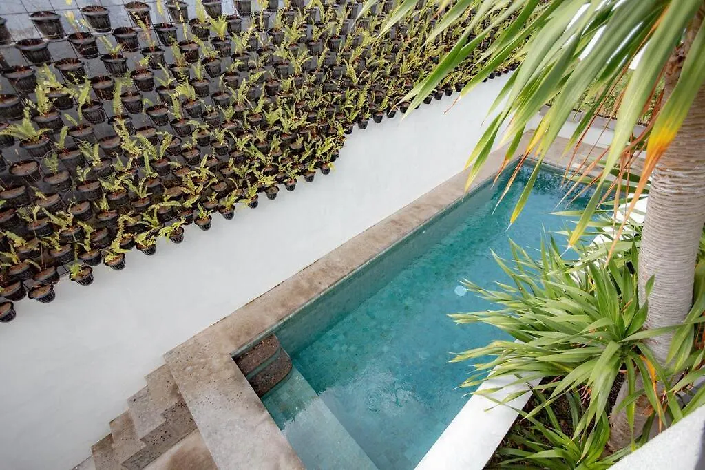 Town House Camy Apartment Seminyak  0*, Seminyak (Bali) Indonesia